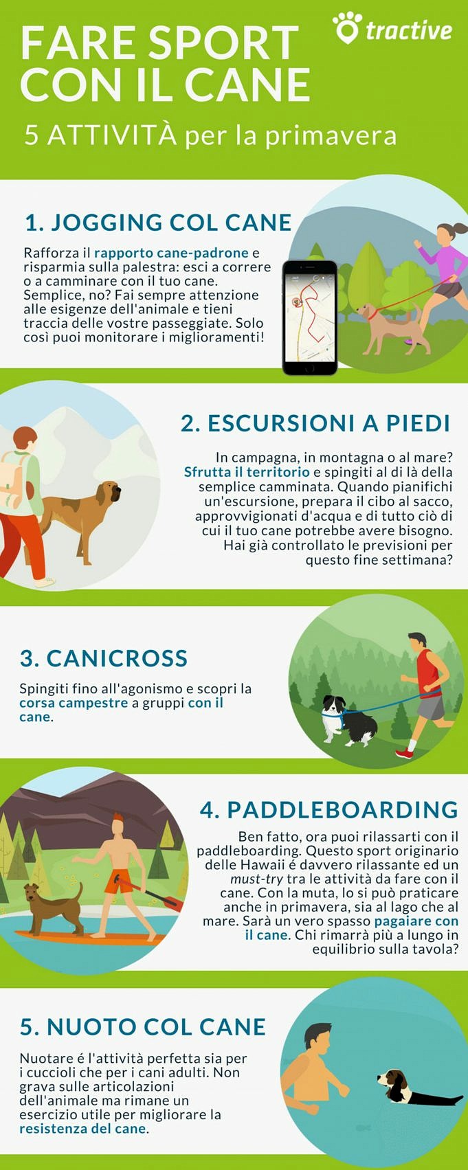 Esercizio Del Cane. La Guida Definitiva