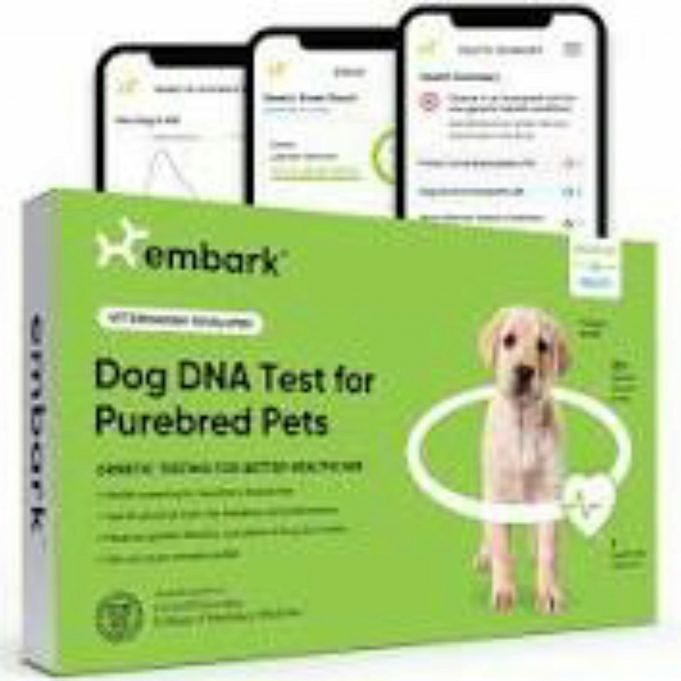 Revisione Del Kit Per Il Test Del DNA Del Cane Embark Breed & Health